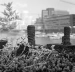 Macro Hafen 6