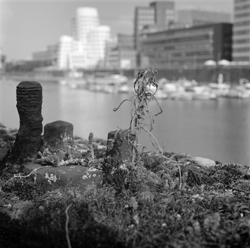 Macro Hafen 7