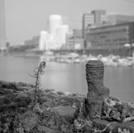 Macro Hafen 8