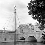 Seine Mast