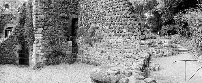 Kaiserpfalz 10