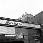 Mus at r