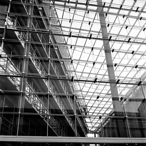Skewed Grids