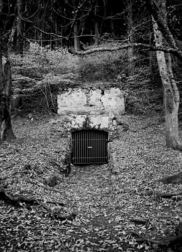 Gate in the Forrest, Lienz, Austria