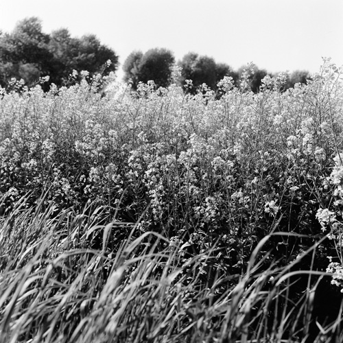 Düsseldorf 05.2003